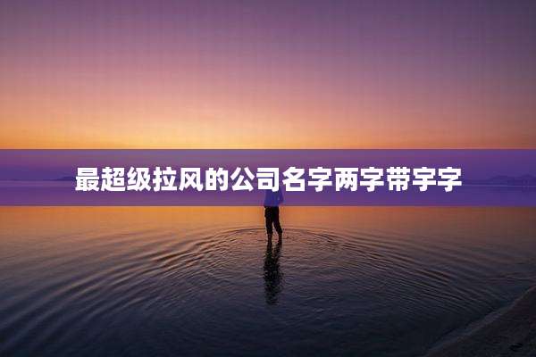 最超级拉风的公司名字两字带宇字