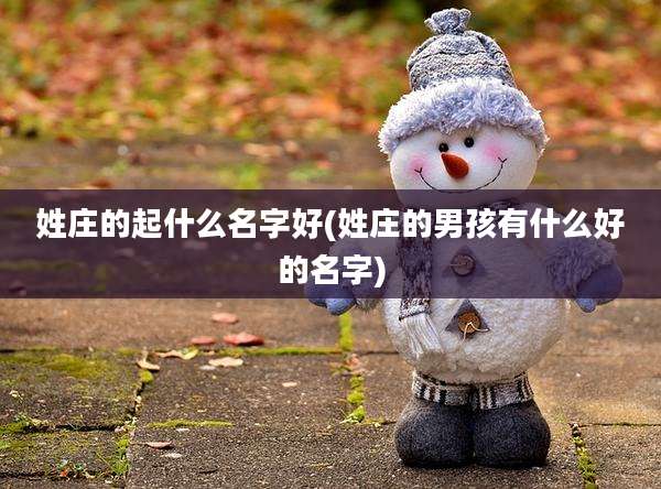 姓庄的起什么名字好(姓庄的男孩有什么好的名字)