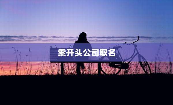 索开头公司取名