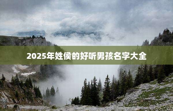 2025年姓侯的好听男孩名字大全