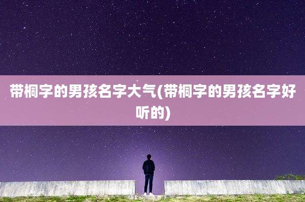 带桐字的男孩名字大气(带桐字的男孩名字好听的)