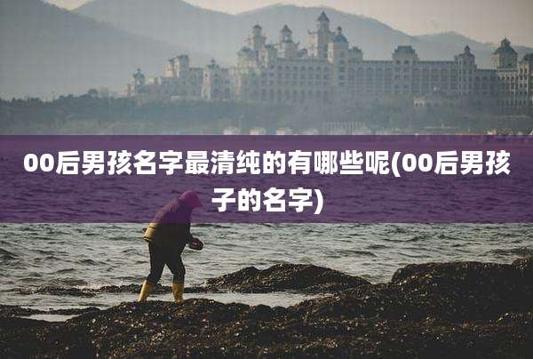00后男孩名字最清纯的有哪些呢(00后男孩子的名字)
