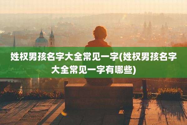 姓权男孩名字大全常见一字(姓权男孩名字大全常见一字有哪些)