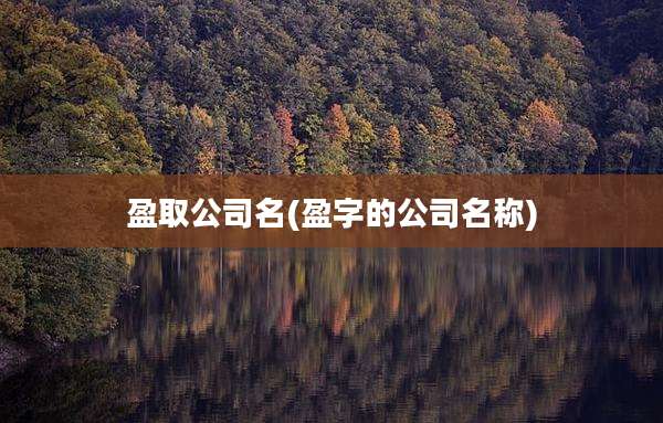 盈取公司名(盈字的公司名称)