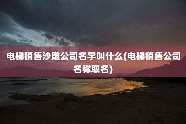 电梯销售沙雕公司名字叫什么(电梯销售公司名称取名)