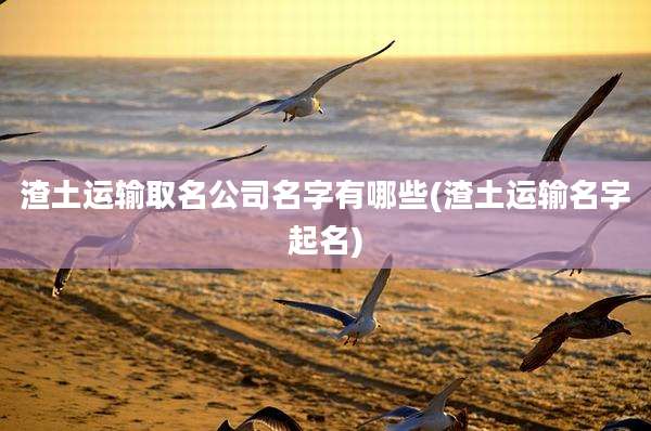 渣土运输取名公司名字有哪些(渣土运输名字起名)