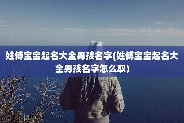 姓傅宝宝起名大全男孩名字(姓傅宝宝起名大全男孩名字怎么取)