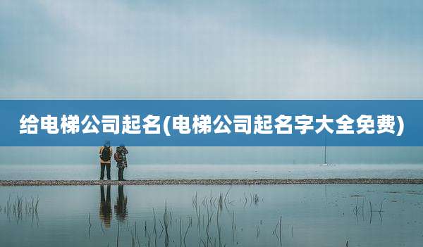 给电梯公司起名(电梯公司起名字大全免费)
