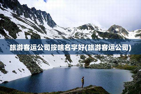 旅游客运公司按啥名字好(旅游客运公司)