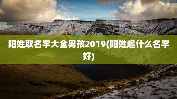 阳姓取名字大全男孩2019(阳姓起什么名字好)