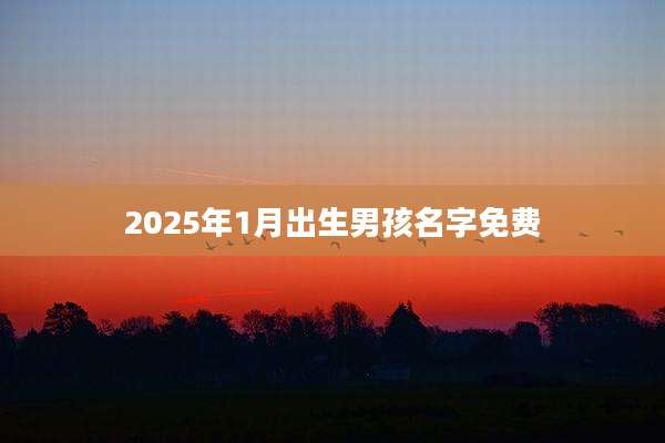 2025年1月出生男孩名字免费