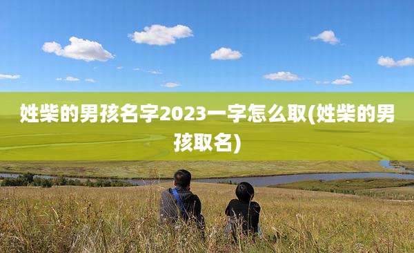 姓柴的男孩名字2023一字怎么取(姓柴的男孩取名)