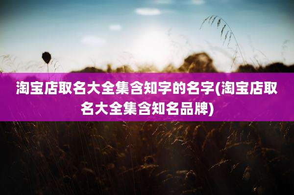 淘宝店取名大全集含知字的名字(淘宝店取名大全集含知名品牌)
