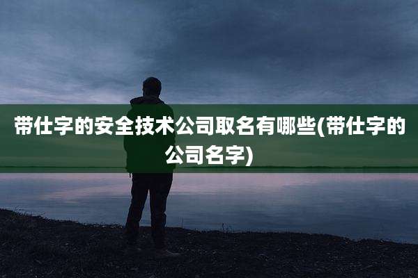 带仕字的安全技术公司取名有哪些(带仕字的公司名字)