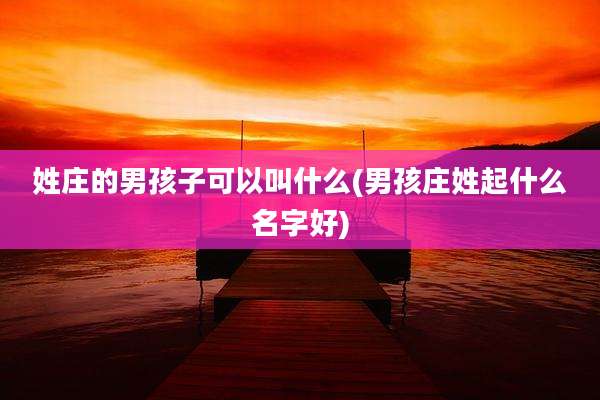 姓庄的男孩子可以叫什么(男孩庄姓起什么名字好)
