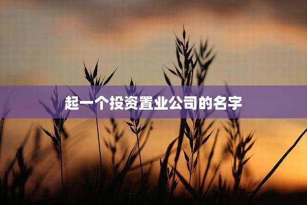 起一个投资置业公司的名字