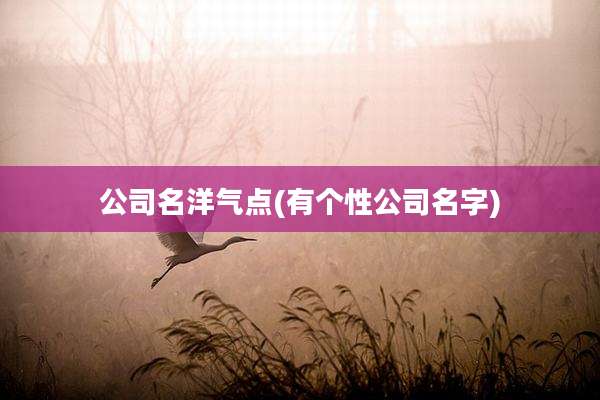 公司名洋气点(有个性公司名字)