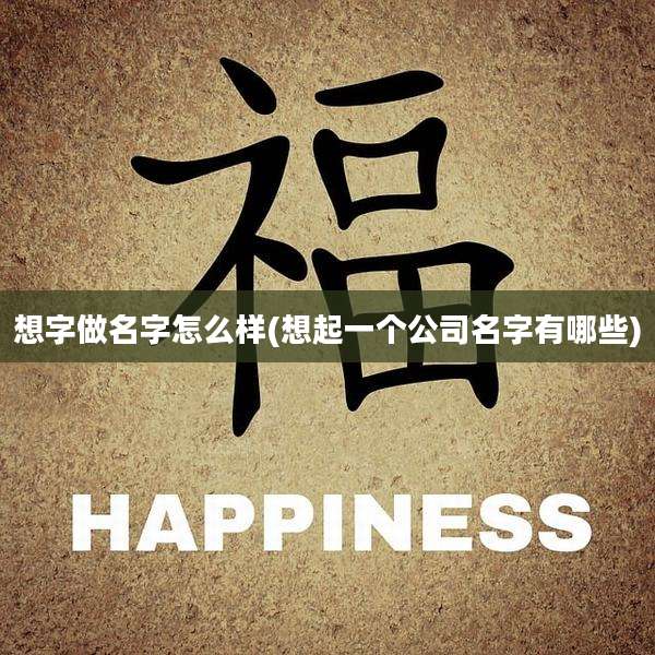 想字做名字怎么样(想起一个公司名字有哪些)