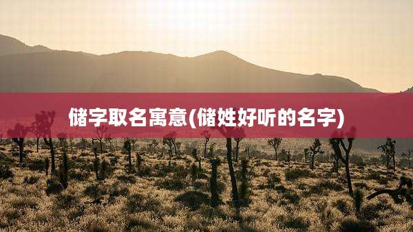 储字取名寓意(储姓好听的名字)