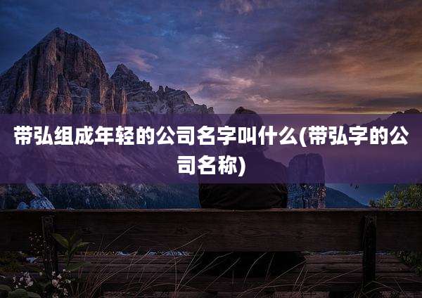 带弘组成年轻的公司名字叫什么(带弘字的公司名称)