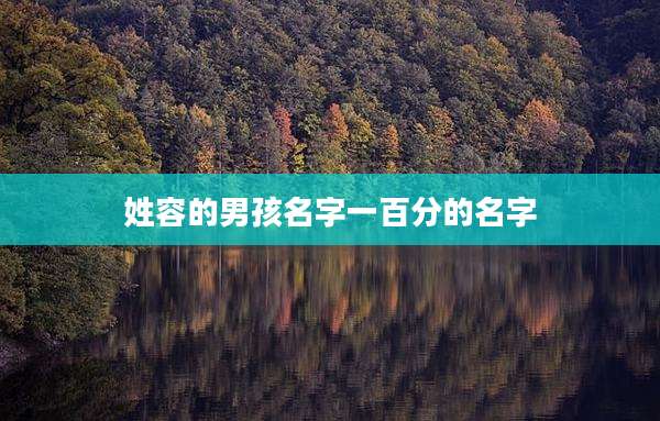 姓容的男孩名字一百分的名字