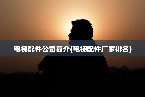 电梯配件公司简介(电梯配件厂家排名)