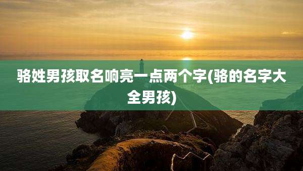 骆姓男孩取名响亮一点两个字(骆的名字大全男孩)