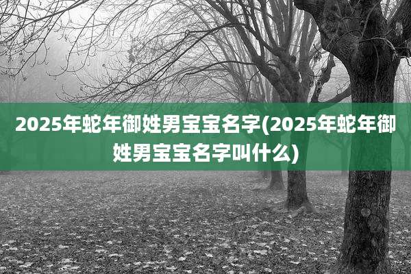 2025年蛇年御姓男宝宝名字(2025年蛇年御姓男宝宝名字叫什么)