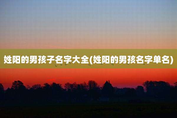 姓阳的男孩子名字大全(姓阳的男孩名字单名)