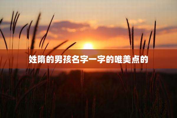 姓隋的男孩名字一字的唯美点的