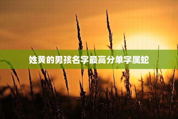 姓黄的男孩名字最高分单字属蛇