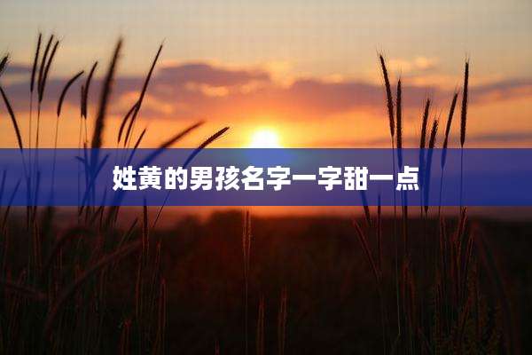 姓黄的男孩名字一字甜一点