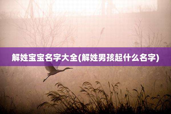 解姓宝宝名字大全(解姓男孩起什么名字)