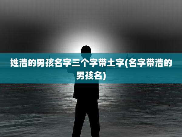姓浩的男孩名字三个字带土字(名字带浩的男孩名)