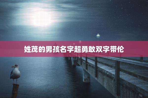 姓茂的男孩名字超勇敢双字带伦