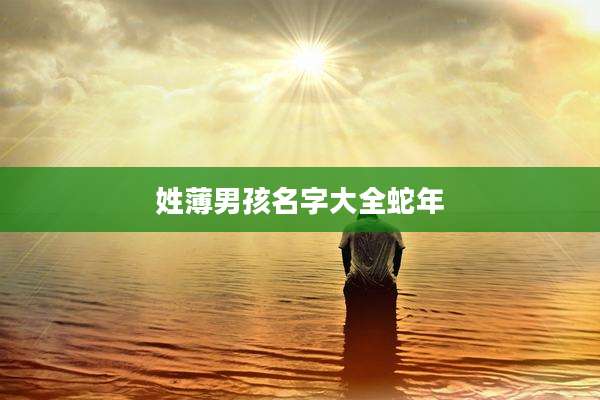 姓薄男孩名字大全蛇年
