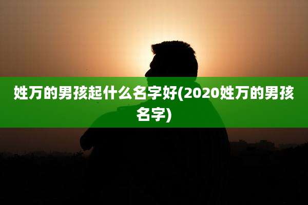 姓万的男孩起什么名字好(2020姓万的男孩名字)