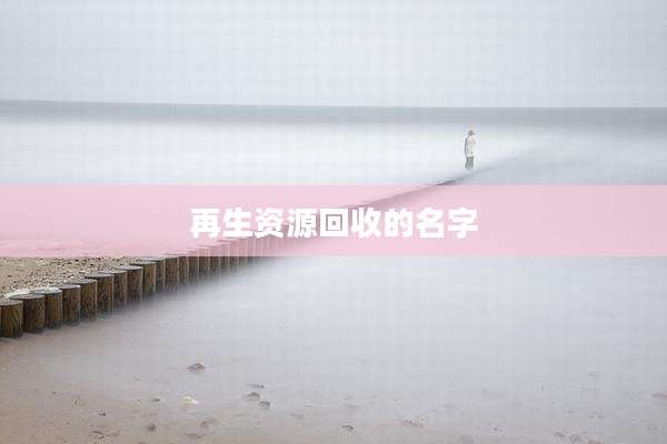 再生资源回收的名字