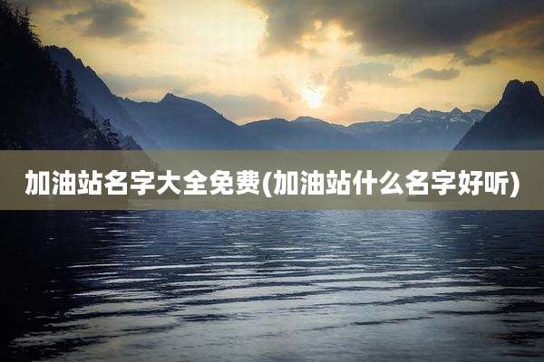 加油站名字大全免费(加油站什么名字好听)