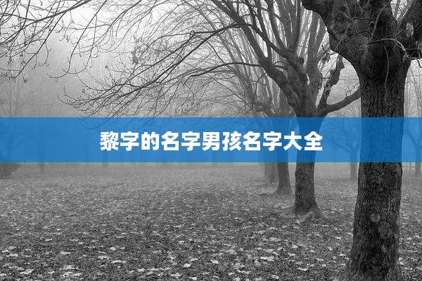 黎字的名字男孩名字大全