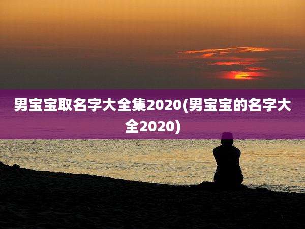 男宝宝取名字大全集2020(男宝宝的名字大全2020)