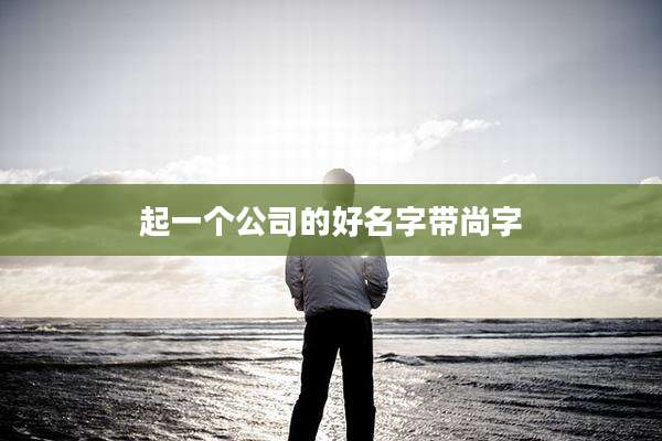 起一个公司的好名字带尚字