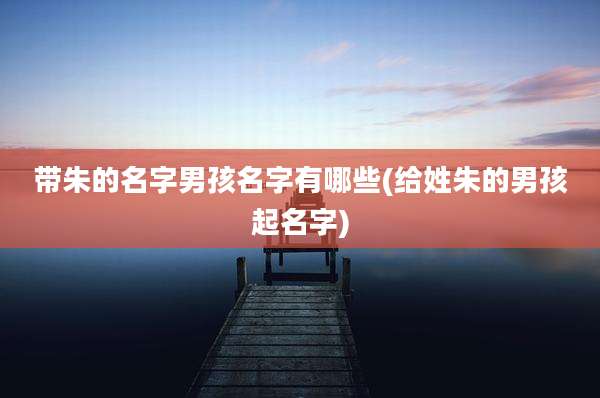 带朱的名字男孩名字有哪些(给姓朱的男孩起名字)