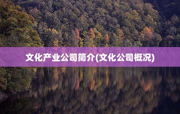 文化产业公司简介(文化公司概况)