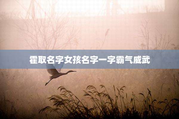 霍取名字女孩名字一字霸气威武