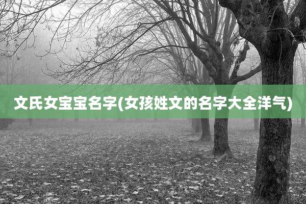文氏女宝宝名字(女孩姓文的名字大全洋气)