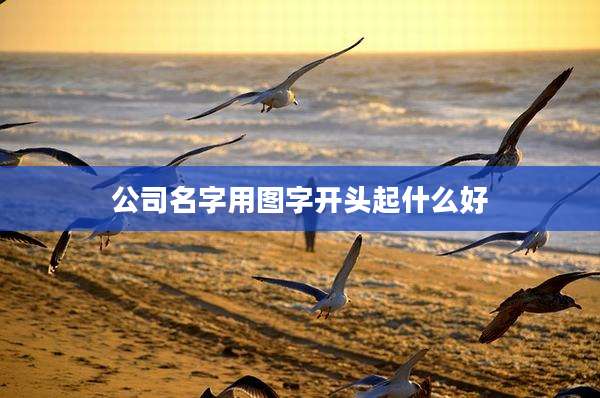 公司名字用图字开头起什么好