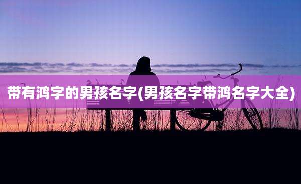 带有鸿字的男孩名字(男孩名字带鸿名字大全)
