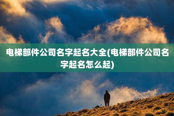 电梯部件公司名字起名大全(电梯部件公司名字起名怎么起)