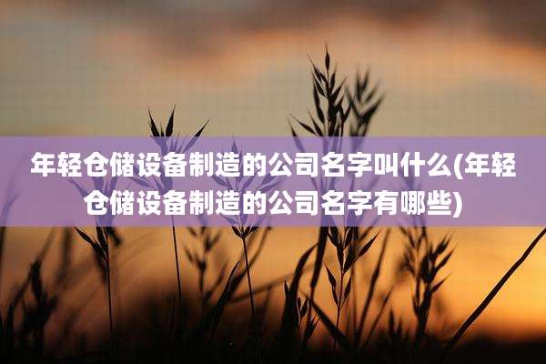 年轻仓储设备制造的公司名字叫什么(年轻仓储设备制造的公司名字有哪些)